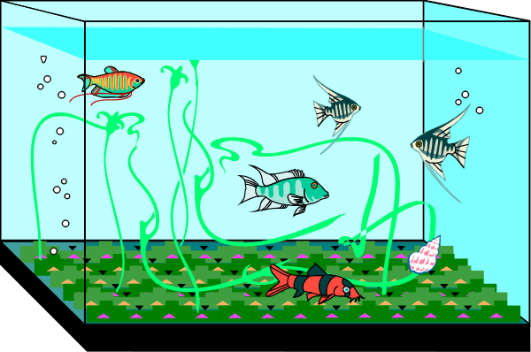 The image shows a colorful aquarium with various fish swimming around plants underwater lights; there is also an octopus on one side of the tank near some rocks.