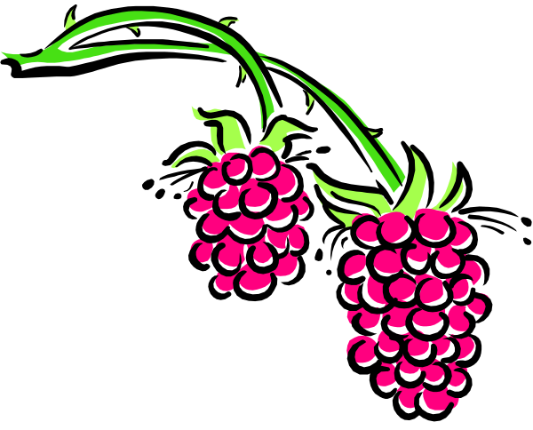 The image shows two bunches of raspberries with green leaves against a black background.