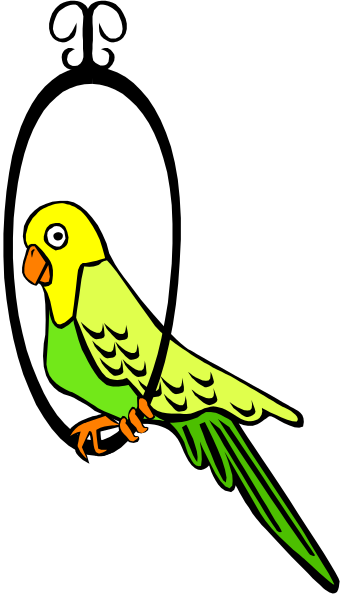 The image shows a colorful parrot perched on top of its wings with an orange beak against a dark background.