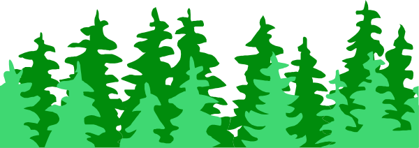 The image shows a green forest with trees on both sides of a pathway that is lined by small bushes at nighttime under an overcast sky.