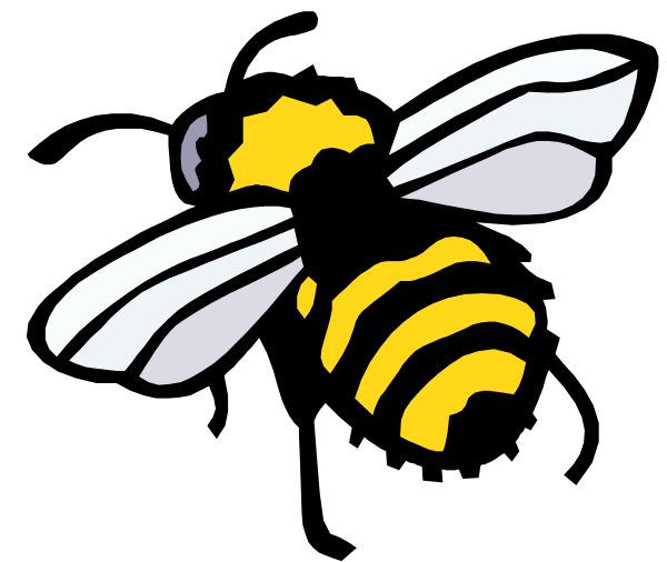 The image shows a black bee with yellow stripes on its body next to an illustration of honeycomb cells filled with white hexagons against a dark background.