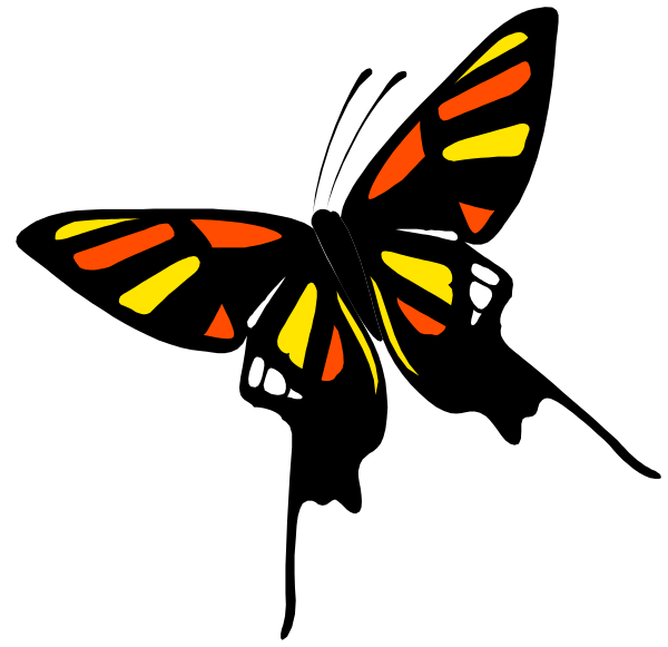 The image shows a stylized butterfly with colorful wings against a black background.