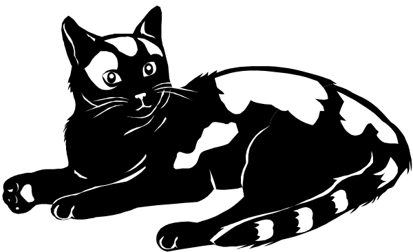 The black cat with white spots on its fur appears to be sitting down next to a wall.