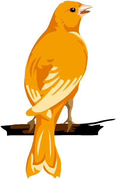 The image features a cartoon bird with orange feathers standing on red legs against an abstract background that transitions from white to black at its edges.