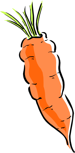 The picture shows a carrot with green leaves on top of it against a black background.