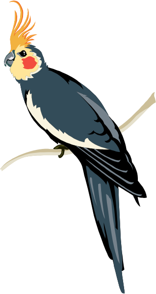The image shows a colorful parrot perched on a branch with its wings spread out against a dark background.
