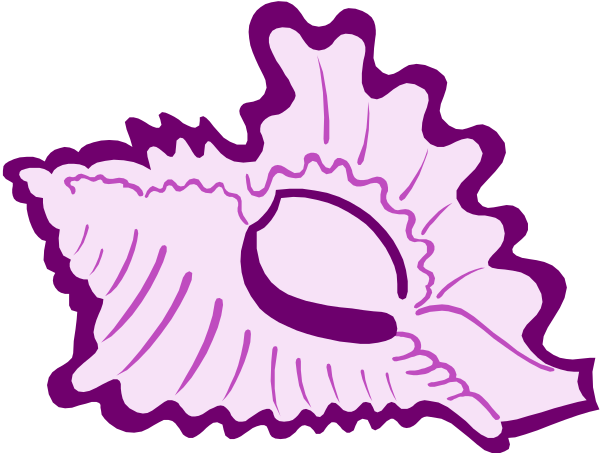 The image shows a purple shell with an open top against a black background.