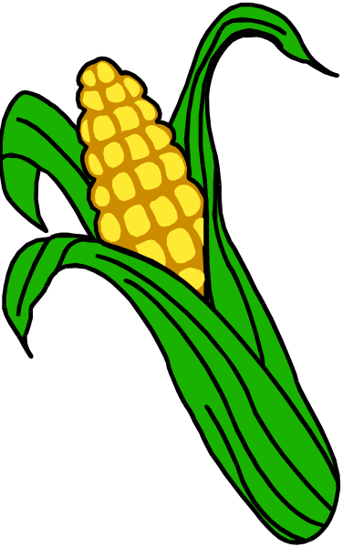 The image shows a graphic of an ear of corn with green leaves attached to it on top of what appears to be two ears of maize in front of them against a dark background.