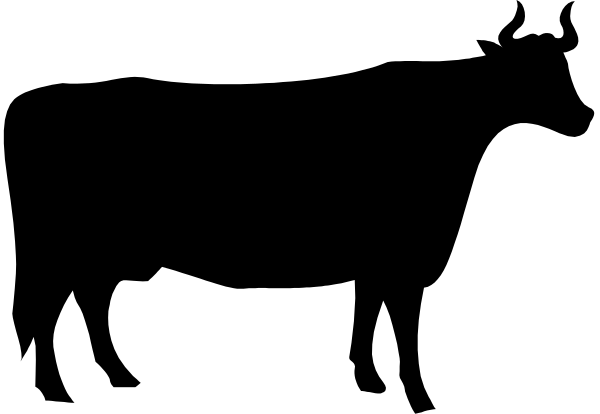 The image shows a cartoon of an orange cow with white spots standing next to another brown cow that is partially visible on its left side in profile view against a black background.