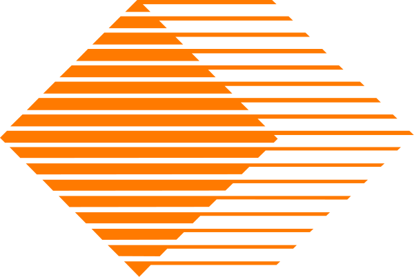 The image shows a black and white abstract design with an orange line that appears to be wavy or curved across it in various directions.