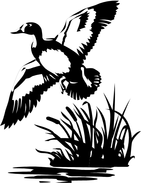 The black and white silhouette of a bird with its wings spread out against an indistinct background.