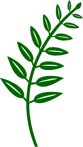 The image shows a simple black and white illustration of an olive branch with green leaves against a gray background.