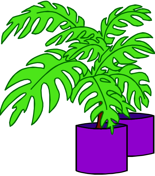 The image shows a green fern plant with purple vases placed on either side of it against a black background.