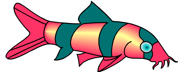 The image shows a cartoon depiction of an orange fish with yellow fins against a black background.