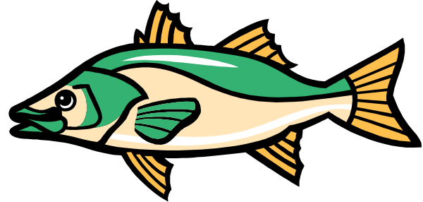 The image shows a cartoon fish with an exaggeratedly large eye swimming near what appears to be another smaller fish on its back in water against a dark background.