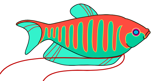 The image shows a colorful cartoon fish with red fins swimming on top of water against an orange background.