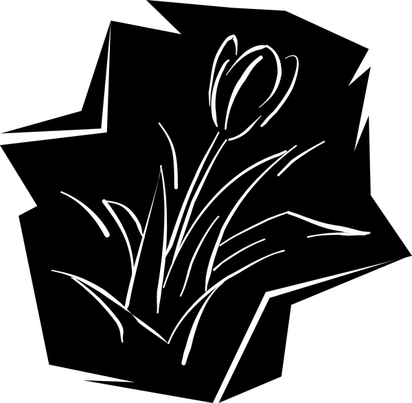The black and white illustration shows a single flower with its petals spread out against an untextured background.