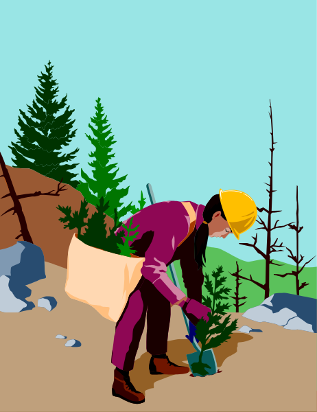 The illustration depicts a person wearing red clothing working on planting trees with spades near pine cones atop snow-covered ground in front of mountains under an overcast sky.