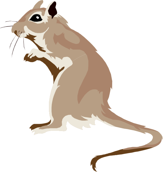 The image shows a cartoon of an animal that resembles a rat with pink fur standing on its hind legs against a black background.