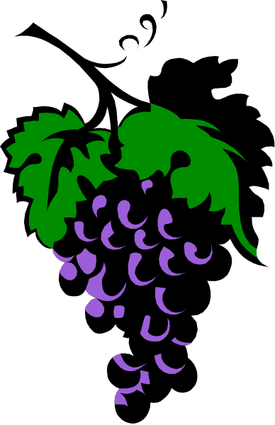 The image shows a purple grape with green leaves on it against a black background.