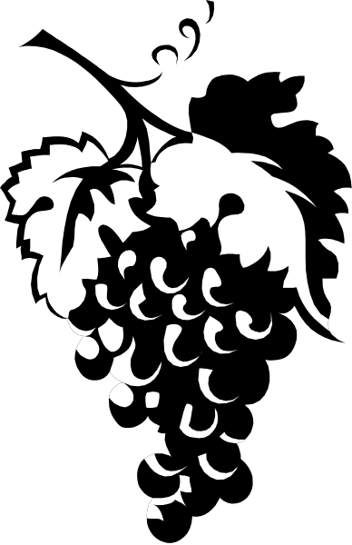 The black and white photo shows a bunch of grapes with leaves on top against a dark background.