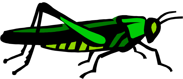 The image shows a green snake with its tongue out against a black background.