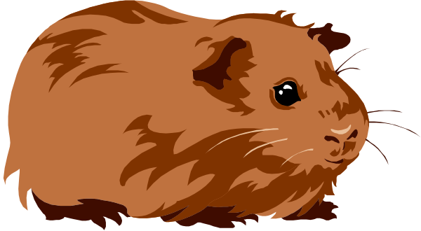 The image shows a cartoon of two guinea pigs with human eyes; on the left is an orange-furred one looking to its right at another brown-furred one that appears surprised or curious, set against a black background.