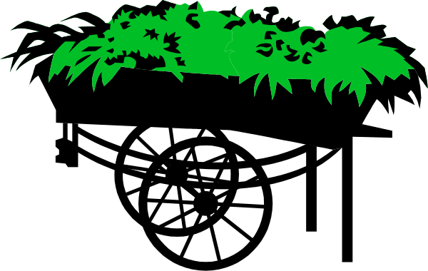 The image shows a black background with green plants on top of it.