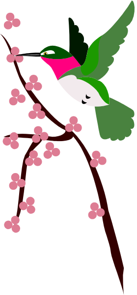 The image shows a hummingbird flying towards pink flowers with its beak open to collect nectar; it is set against a black background that has white stripes on either side of the bird.