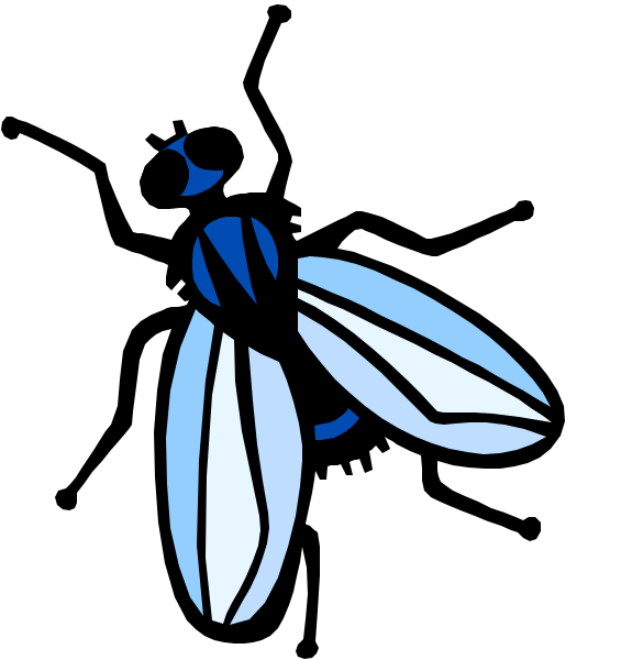 The image shows a stylized blue dragonfly with an open wing on top of what appears to be a black background.