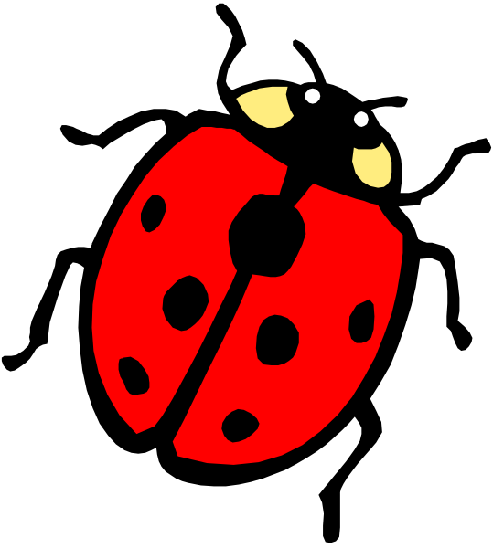 The image shows a cartoon of an animated ladybug with antennae on its head against a black background.