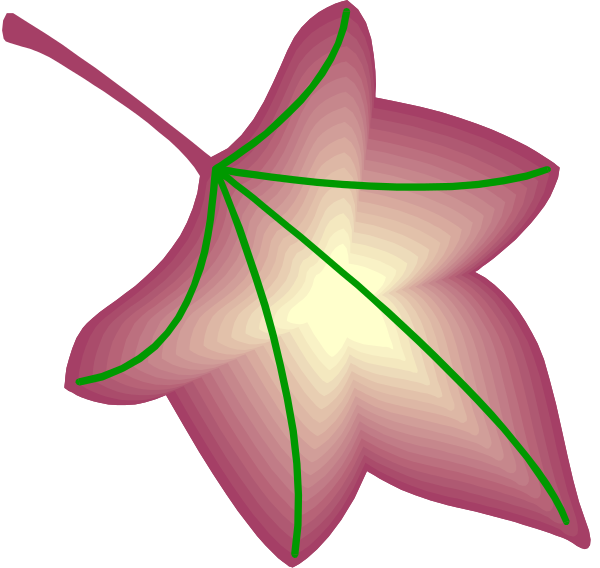 The image shows a pink flower with green leaves against a black background.