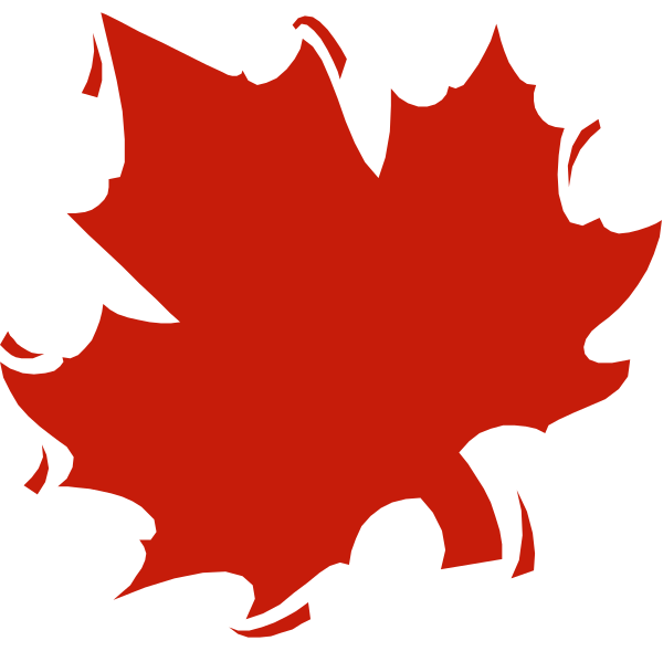 The image shows a red maple leaf on black background with white outlines of other leaves around it.