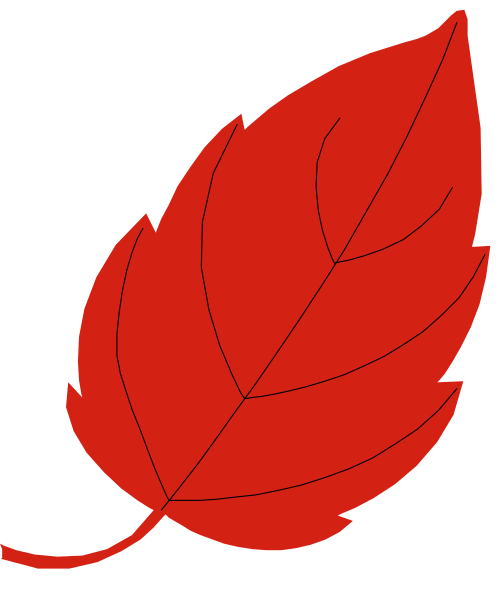 The image shows a red leaf with black outlines on it against a white background.