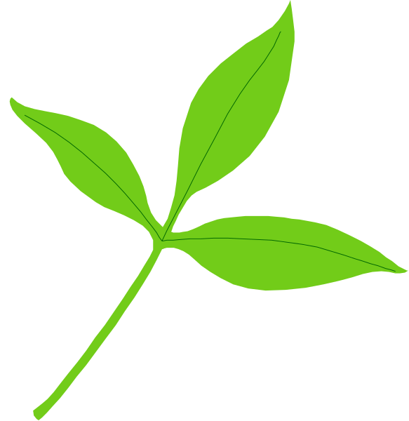 The image shows a simple black background with two green leaf shapes on either side of an arrow pointing to them from above; there is no text present in this clip-art illustration.