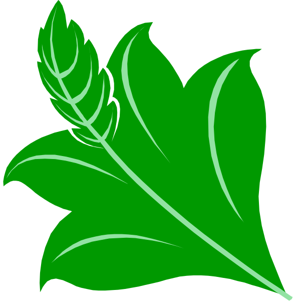 The image shows two green leaf illustrations with a white background on either side of an arrow pointing from left to right.