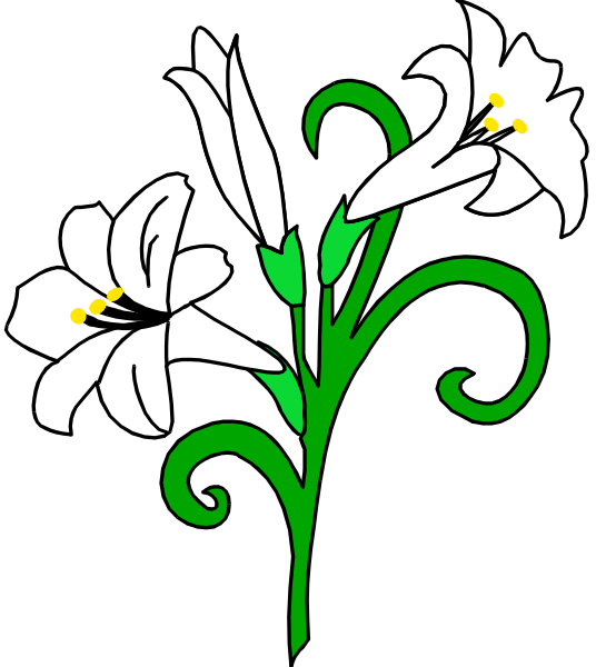 The image shows a stylized illustration of two white lilies with green leaves on either side against a black background.