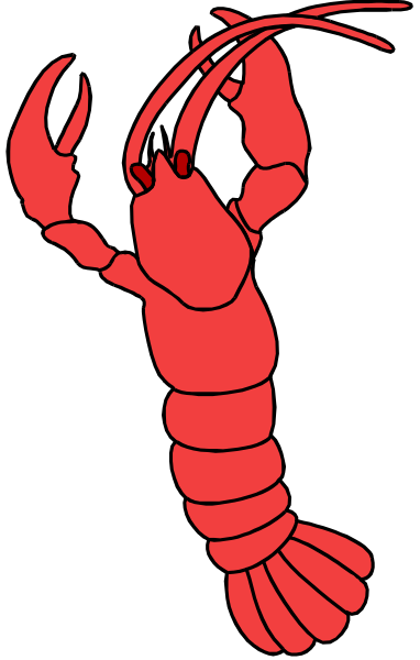 The image shows a red lobster with claws raised against an unseen background.