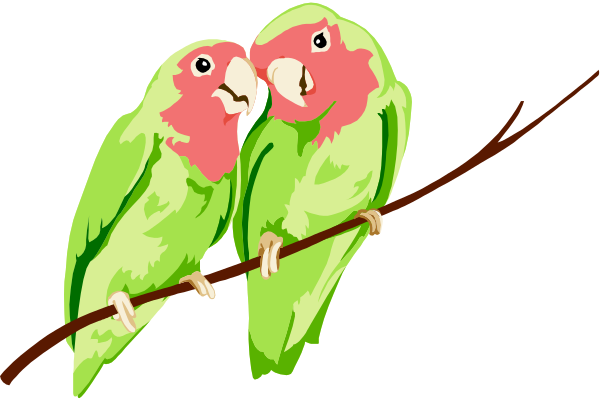 The image shows two parrots perched on a branch with red leaves against a dark background.