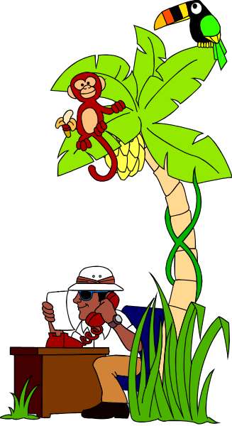 The illustration shows a tropical scene with palm trees on either side of two monkeys sitting atop them; between these is an image of a person holding what appears to be a camera in their hands while standing near some water, and there's also another figure that seems like it could represent a bird or parrot. The background features the silhouette of mountains with clouds above them under a dark sky.