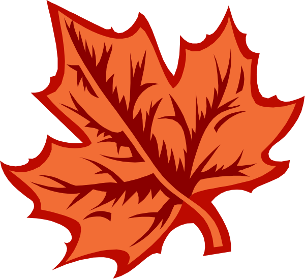 The image shows a red maple leaf with veins on it against a black background.