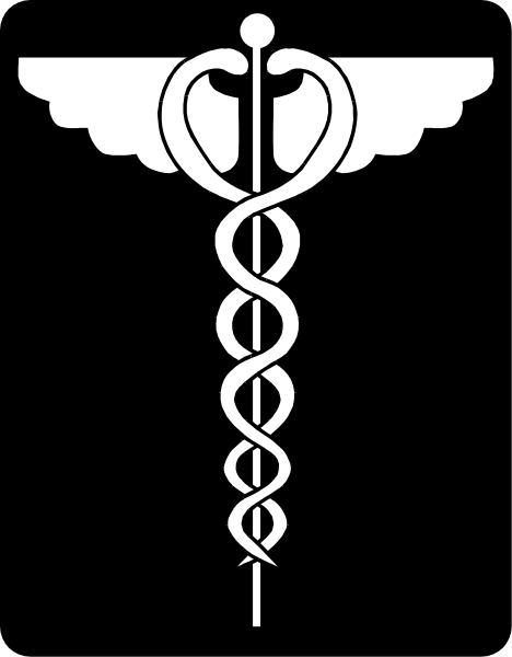 The logo of a medical cross with wings on either side inside an oval shape.