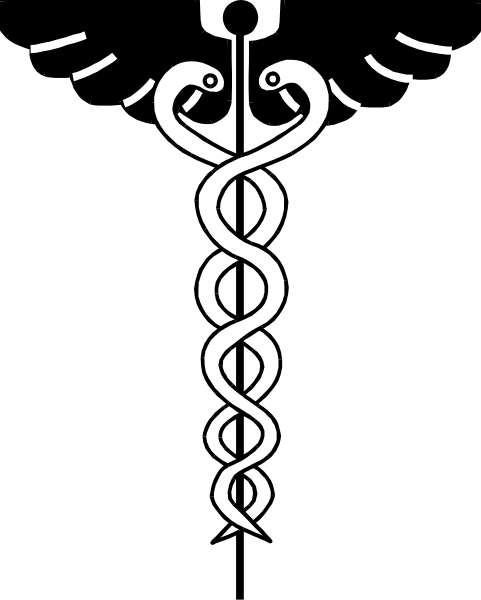 The image shows a black and white logo with two intertwined snakes forming an "S" shape above each other on top of what appears to be a staff.