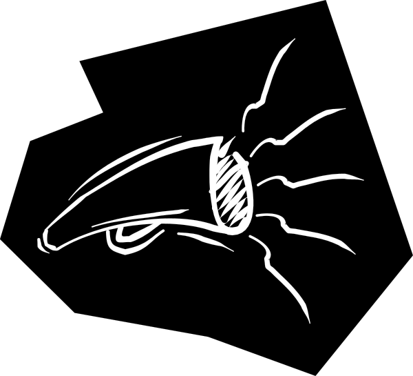 The black and white silhouette of a fish with fins on its back is shown against a dark background.