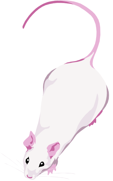 The image shows a cartoon of an animated mouse with pink ears flying through space next to its tail.