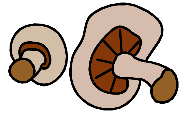 The image shows a black and white illustration of an ice cream cone with two scoops on top next to three donuts in different shapes: one round, one square, and another rectangular.