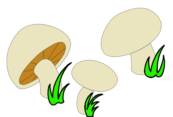 The image shows a black background with green flames on top of it.