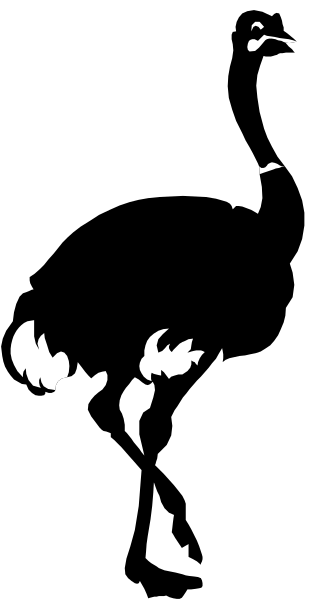 The image shows a black cat with white paws standing on its hind legs against a gray background.