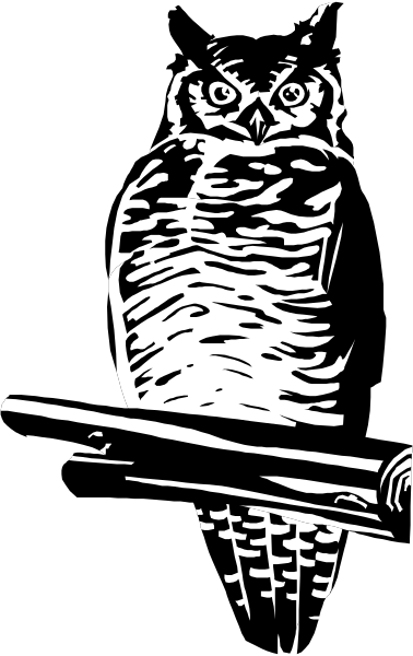 The black and white illustration features an owl perched on a branch with its wings spread out behind it.