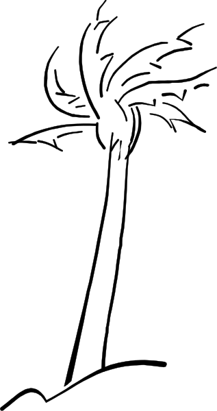 The image shows a black strip with white lines on it against an indistinct background that appears to be grayish-brown in color.
